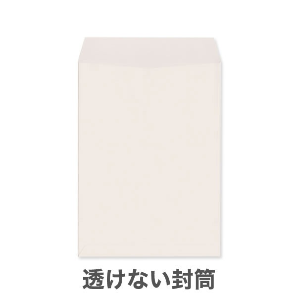 ��2Ʃ���ʤ��ʥץ饤�Х����ݸ�˥ѥ��ƥ륫�顼100/��1������/���Ȥʤ��ʥ襳Ž��Τߡ�/500��