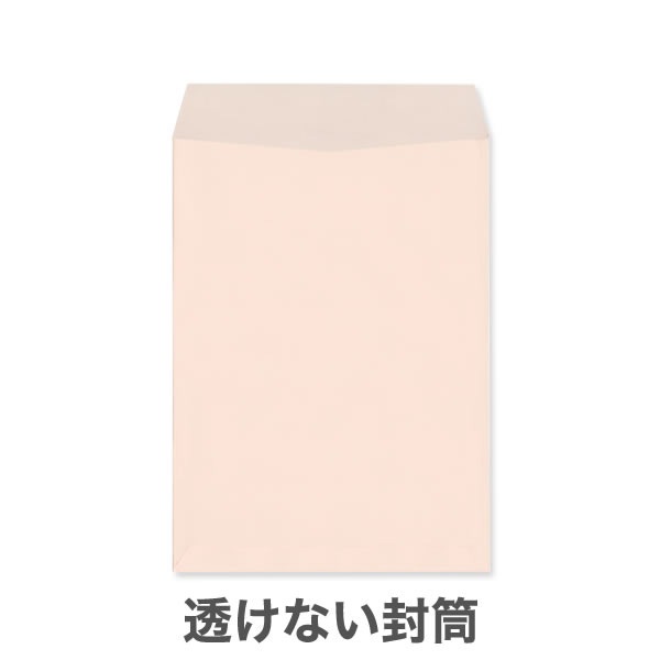 ��2Ʃ���ʤ��ʥץ饤�Х����ݸ�˥ѥ��ƥ륫�顼100/��1������/���Ȥʤ��ʥ襳Ž��Τߡ�/500��