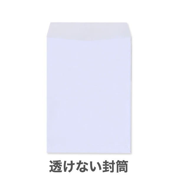 ��2Ʃ���ʤ��ʥץ饤�Х����ݸ�˥ѥ��ƥ륫�顼100/��1������/���Ȥʤ��ʥ襳Ž��Τߡ�/500��