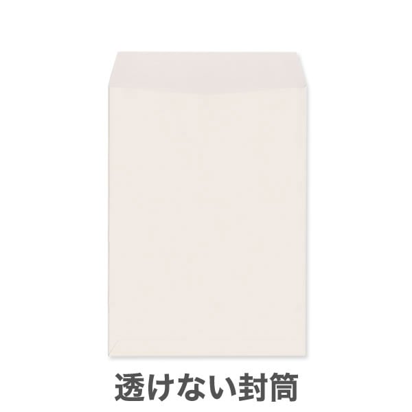 ��2Ʃ���ʤ��ʥץ饤�Х����ݸ�˥ѥ��ƥ륫�顼100/���ܿ�1������/���Ȥʤ��ʥ襳Ž��Τߡ�/4,000��