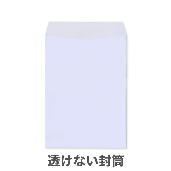 ��2Ʃ���ʤ��ʥץ饤�Х����ݸ�˥ѥ��ƥ륫�顼100/���ܿ�1������/���Ȥʤ��ʥ襳Ž��Τߡ�/4,000��