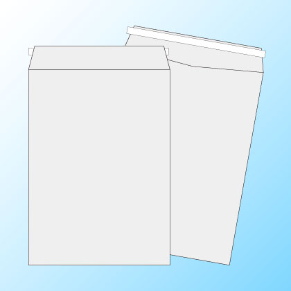 ��2�ڥơ����ա�����100/��1������/���Ȥʤ��ʥ襳Ž��Τߡ�/1,500��