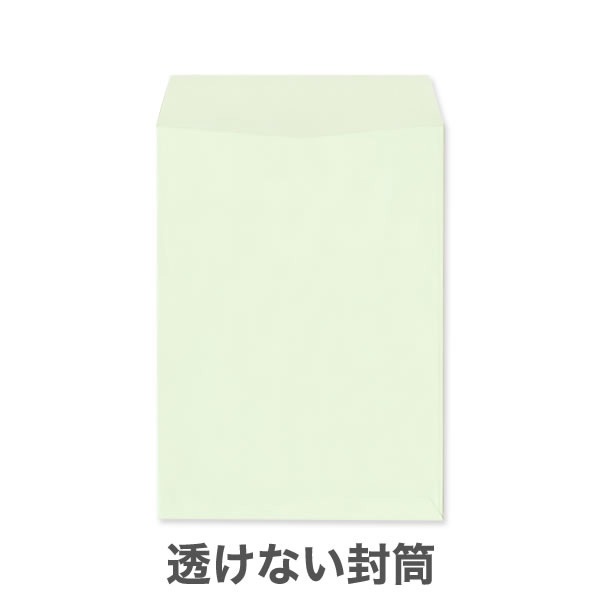 ��2Ʃ���ʤ��ʥץ饤�Х����ݸ�˥ѥ��ƥ륫�顼100/DIC���꿧1������/���Ȥʤ��ʥ襳Ž��Τߡ�/500��