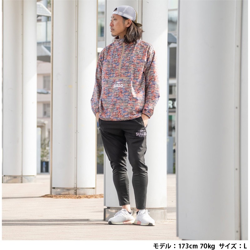 岡村 道雄 全国訪ねてみたい古代遺跡100―日本古代遺跡観察図鑑 古代 遺跡