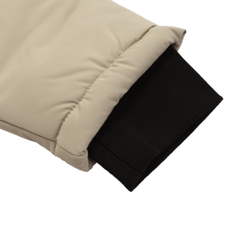 �����ݥ��/DALPONTE ���ʥ�����/���󥵥졼�����ϡ��ե����ȡ�DPZ0449��