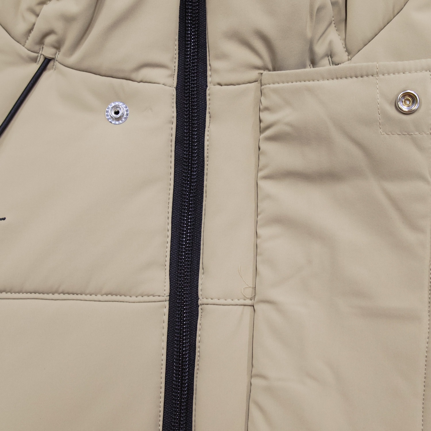 �����ݥ��/DALPONTE ���ʥ�����/���󥵥졼�����ϡ��ե����ȡ�DPZ0449��