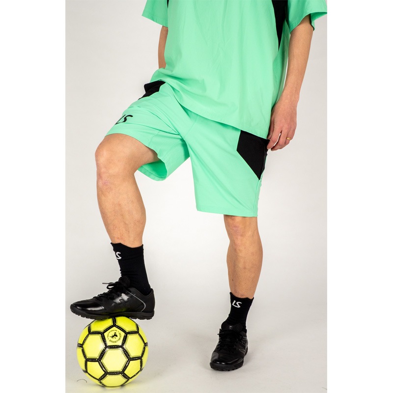 �롼��������֥�/LUZ e SOMBRA �ץ饯�ƥ����ѥ��/LS LOGO DRY PRA-PANTS��L1261020��