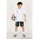 �롼��������֥�/LUZ e SOMBRA ����˥��ݥ������/Jr SPORTS POLO-SHIRT��L2261235��