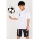 �롼��������֥�/LUZ e SOMBRA ����˥��ݥ������/Jr SPORTS POLO-SHIRT��L2261235��