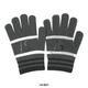 �롼��������֥�/LUZ e SOMBRA �˥åȥ�������/STANDARD KNIT GLOVE��F1814945��