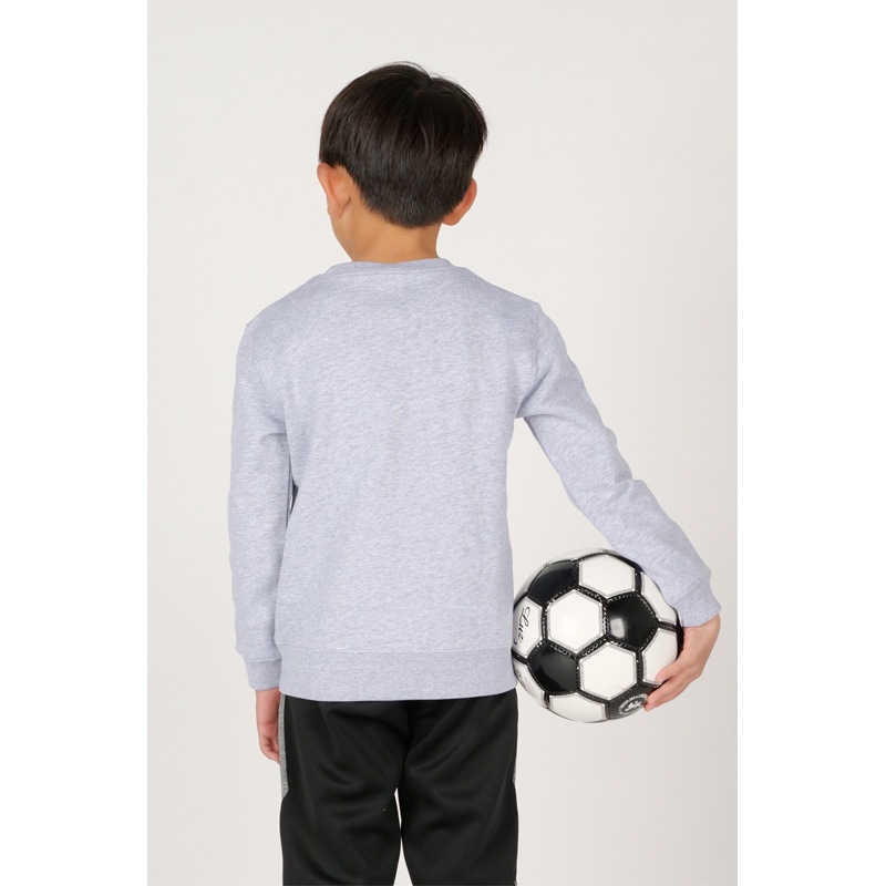 �롼��������֥�/LUZ e SOMBRA ����˥��������åȥȥåץ�/Jr NATURAL MYSTIC CREW SWEAT��L2241155�� 