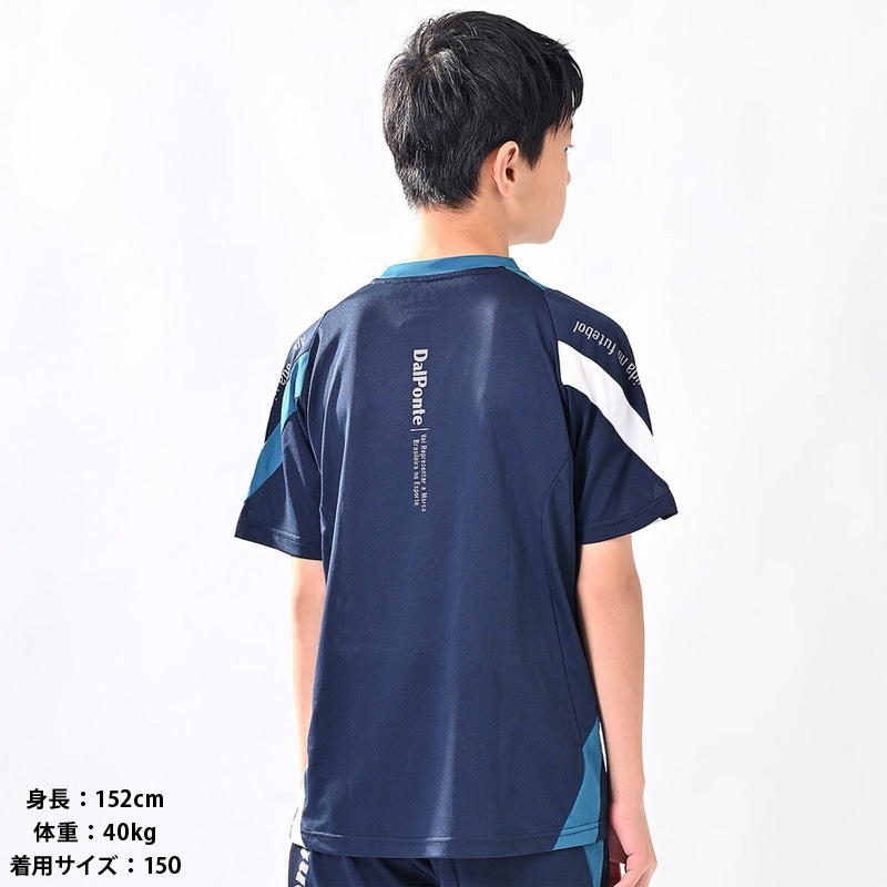 �����ݥ��/DALPONTE ����˥��ץ饯�ƥ��������/�ʥ���˥��˥����饤�ȥץ饷��ġ�DPZ0462J��