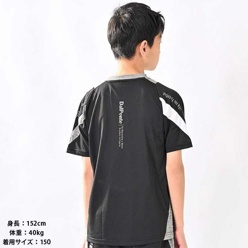 �����ݥ��/DALPONTE ����˥��ץ饯�ƥ��������/�ʥ���˥��˥����饤�ȥץ饷��ġ�DPZ0462J��