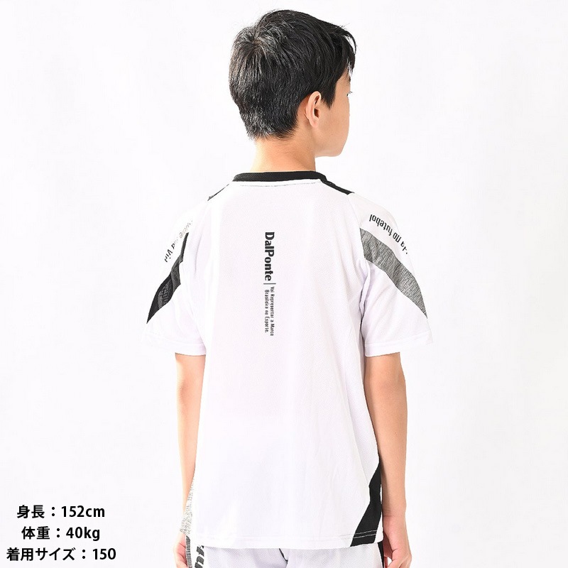 �����ݥ��/DALPONTE ����˥��ץ饯�ƥ��������/�ʥ���˥��˥����饤�ȥץ饷��ġ�DPZ0462J��