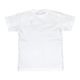 �Υå����˥硼��ɥѥ饤����/NOSSO SENHOR DO PARAISO ȾµT�����/My Goal TEE��NP-00-2026W��