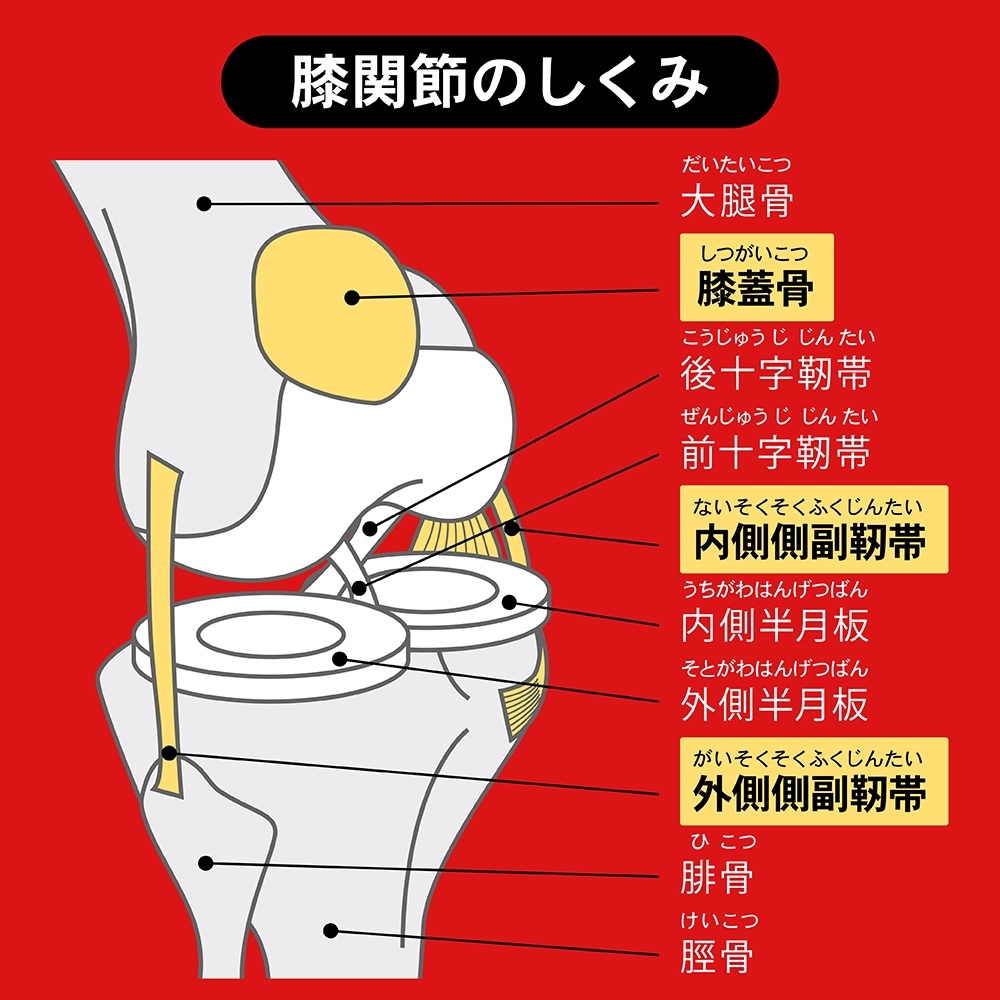 �����ƥ��Х�����/Activital �����ϤҤ����ݡ�������NGU1004��