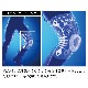 �����ƥ��Х�����/Activital �����ϤҤ����ݡ�������NGU1004��