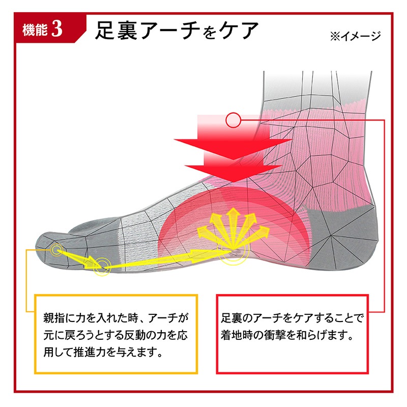 �����ƥ��Х�����/Activital �ⵡǽ���󥰥��å���/�եåȥ��ݡ������ϥ��֥�åɡ�HRD1018��HRD1017��