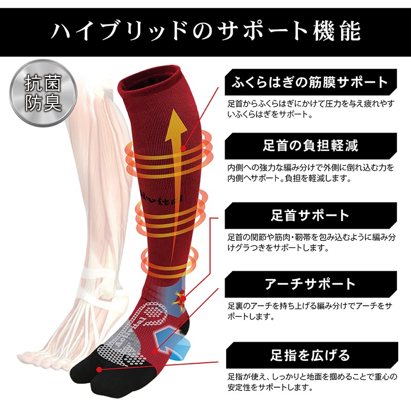 �����ƥ��Х�����/Activital �ⵡǽ���󥰥��å���/�եåȥ��ݡ������ϥ��֥�åɡ�HRD1018��HRD1017��