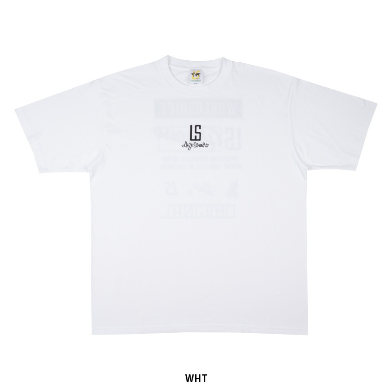 �롼��������֥�/LUZeSOMBRA ȾµT�����/LOCAL SUPPORT TEE 2025��LS125229��