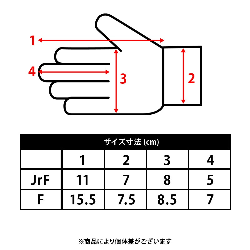 ݥ/DALPONTE /˥åȥ֡DPZ0456DPZ0456J 