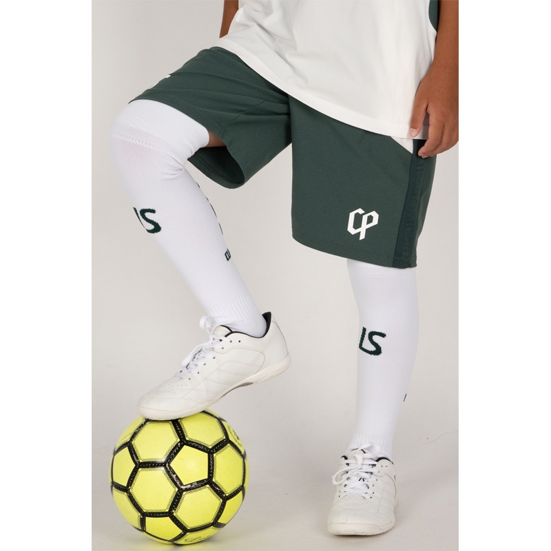 �롼��������֥�/LUZ e SOMBRA ���󥰥��å���/CP W.O.L JACQUARD SOX��L2252391��