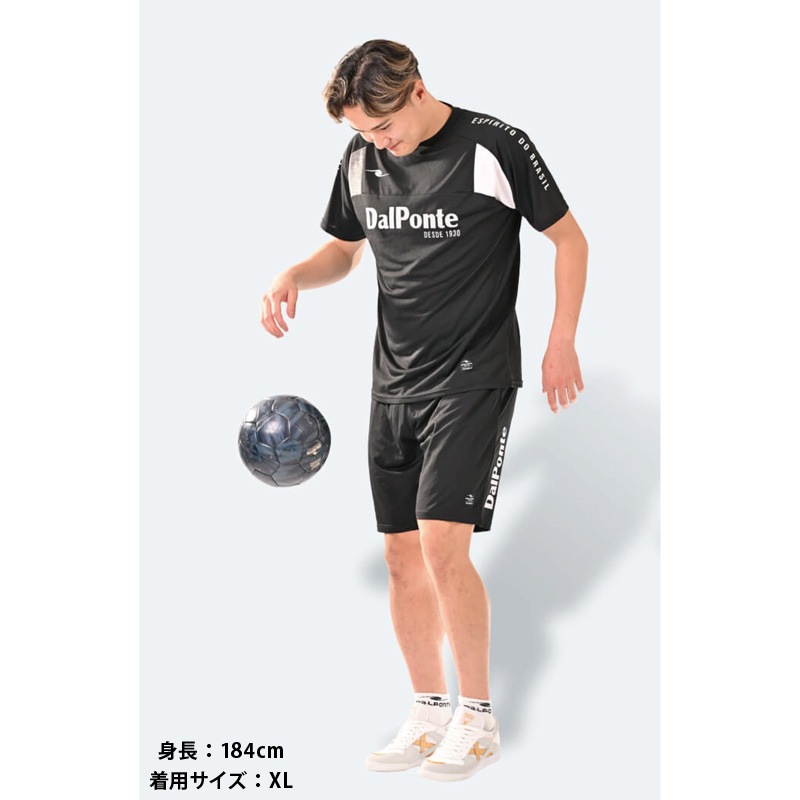 �����ݥ��/DALPONTE �����饤�ȥץ饯�ƥ����ѥ�ġ�DPZ0434��