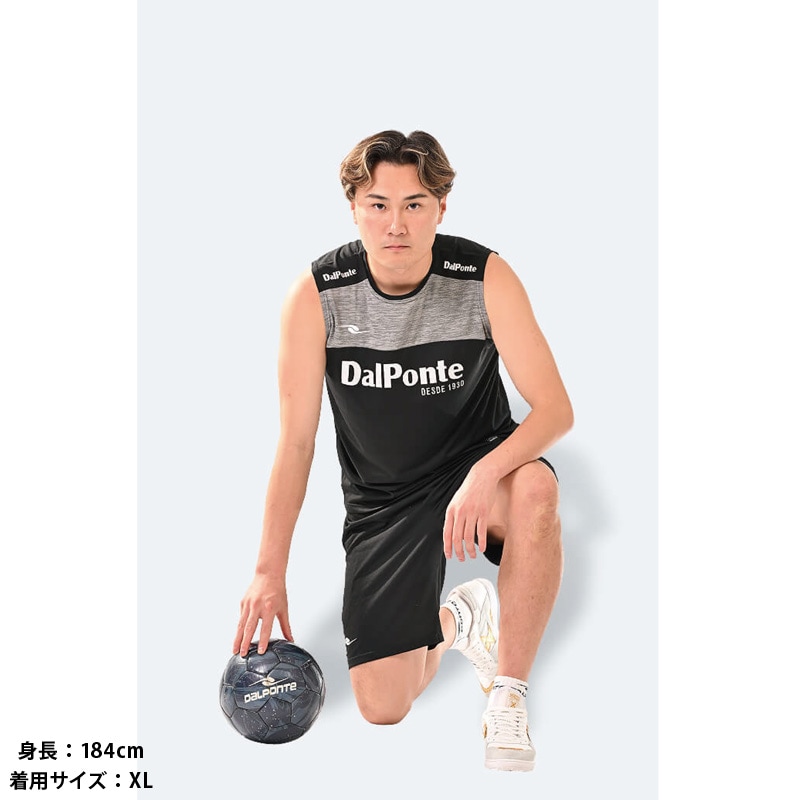 �����ݥ��/DALPONTE �����饤�ȥץ饯�ƥ����ѥ�ġ�DPZ0434��