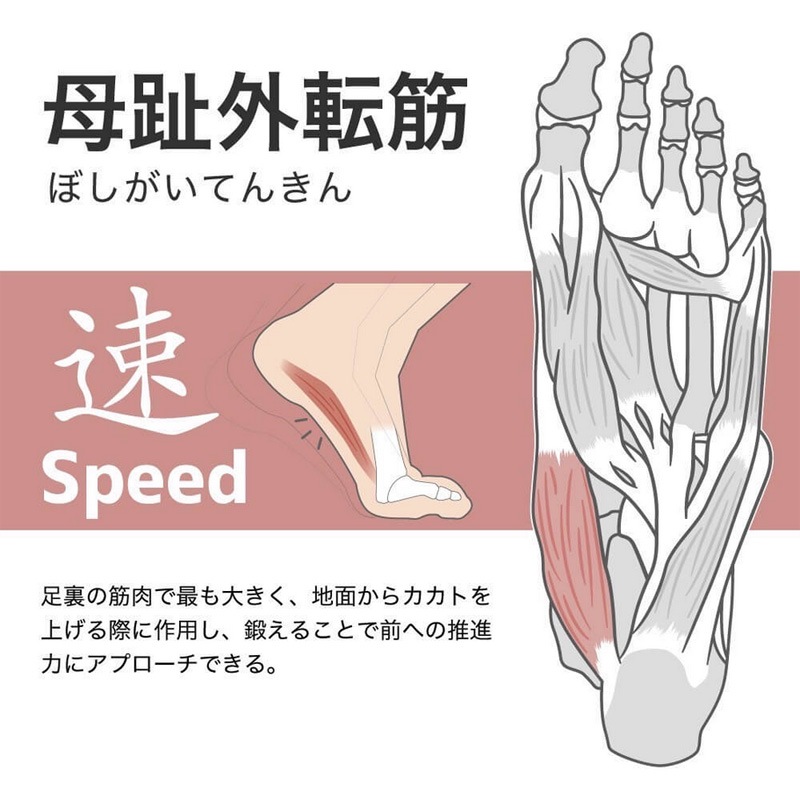 �����ƥ��Х�����/Activital �ⵡǽ���å���/�եåȥ��ݡ�����PRO��HRD1056��HRD1055��HRD1054�� 