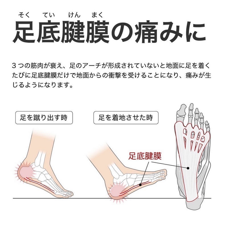 �����ƥ��Х�����/Activital �ⵡǽ���å���/�եåȥ��ݡ�����PRO��HRD1056��HRD1055��HRD1054�� 