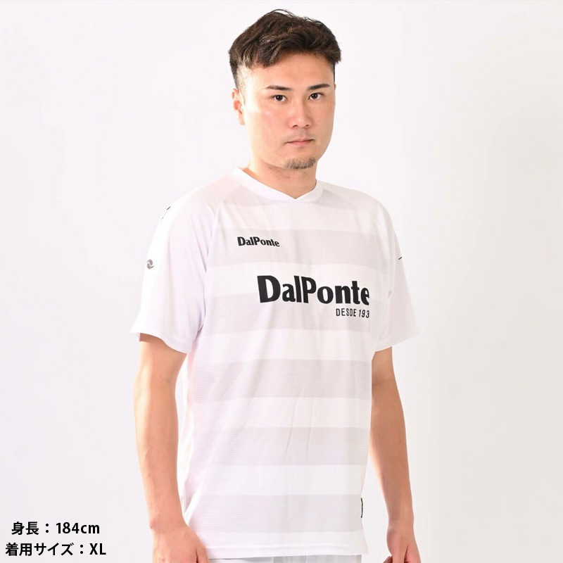 �����ݥ��/DALPONTE �ץ饯�ƥ��������/���ڥܡ������ץ饯�ƥ�������ġ�DPZ134��