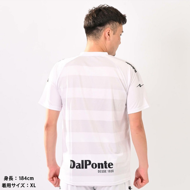 �����ݥ��/DALPONTE �ץ饯�ƥ��������/���ڥܡ������ץ饯�ƥ�������ġ�DPZ134��