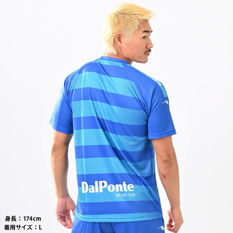 �����ݥ��/DALPONTE �ץ饯�ƥ��������/���ڥܡ������ץ饯�ƥ�������ġ�DPZ134��