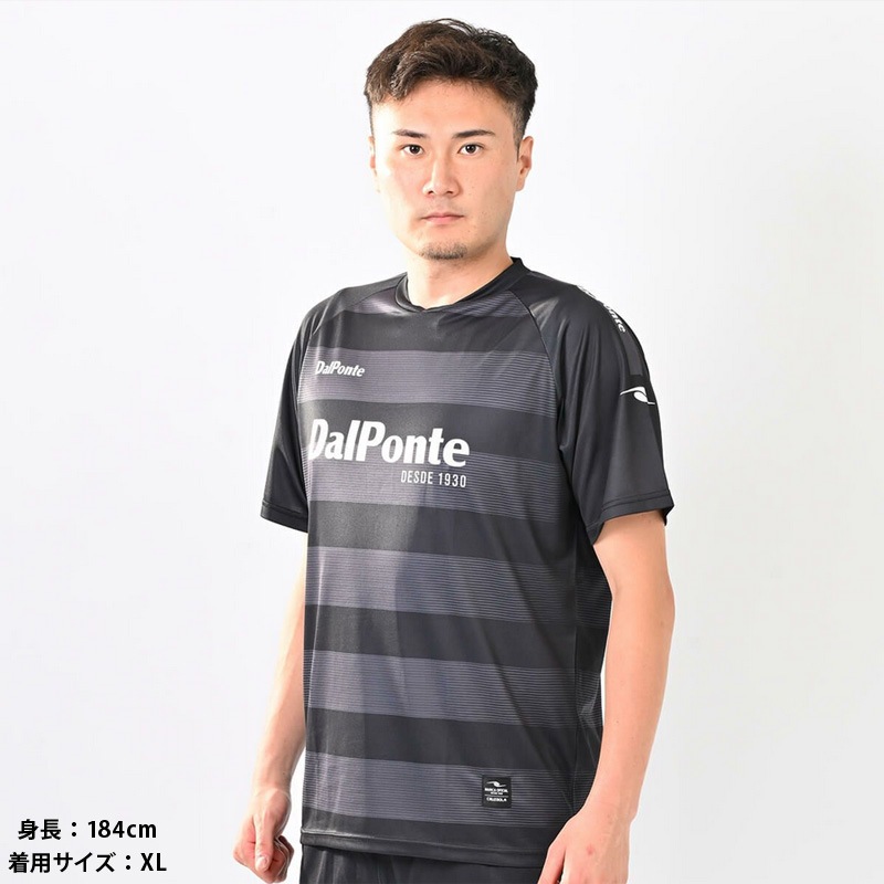 �����ݥ��/DALPONTE �ץ饯�ƥ��������/���ڥܡ������ץ饯�ƥ�������ġ�DPZ134��
