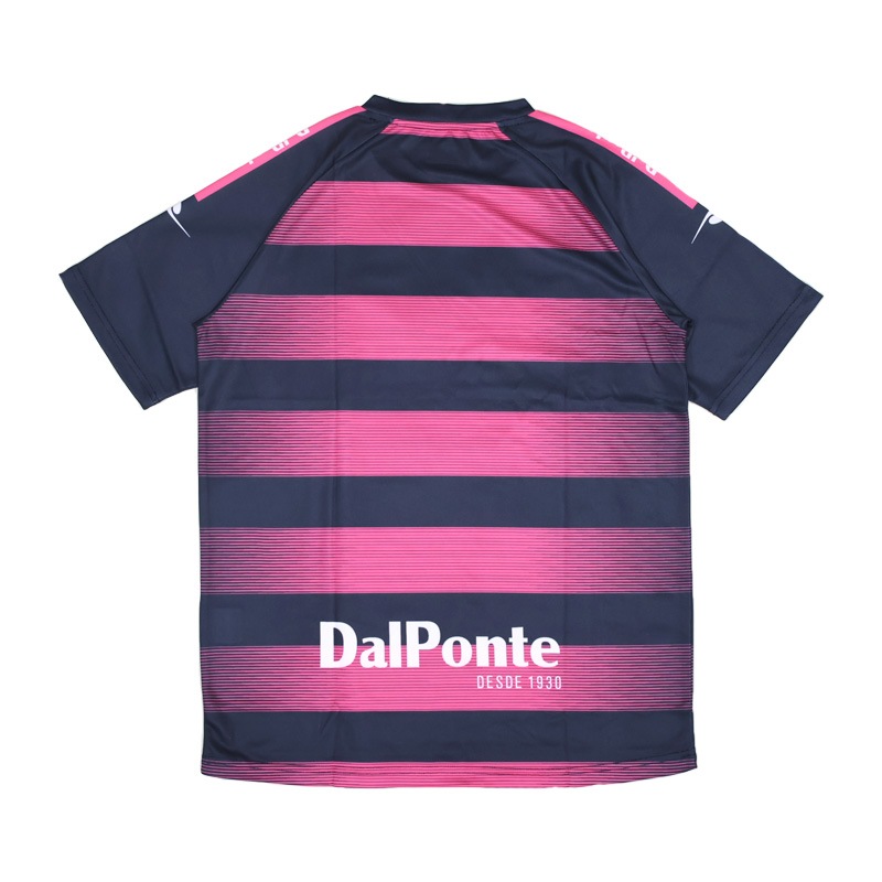 �����ݥ��/DALPONTE �ץ饯�ƥ��������/���ڥܡ������ץ饯�ƥ�������ġ�DPZ134��