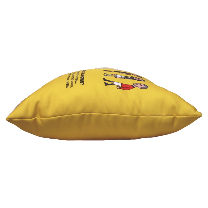 å󥭡/soccer junky å/free kicker åSJ25B15