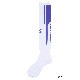 �롼��������֥�/LUZ e SOMBRA ���󥰥��å���/CP LONG SOCKS��L2241381��
