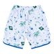 �롼��������֥�/LUZ e SOMBRA ����˥��ץ饯�ƥ����ѥ��/Jr RIO SHORT PANTS��L2263015��