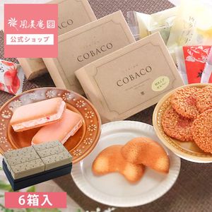 COBACO���祤�����åȡ�6Ȣ���åȡۡòİ��餷���פ����եȤ�COBACO9����Τ��ۻҤ������٤���祤�����å� ������ ��� ���ۻ� �������ĥ��ե� �²ۻ� �βۻҡ������ȯ���� Agift