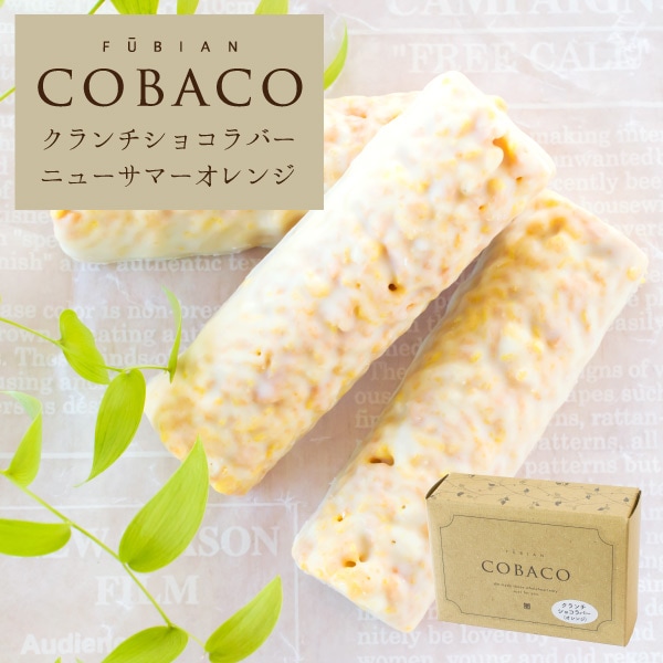 COBACO 祳Сʥ˥塼ޡ󥸡3    ࿦ ư ž  ´ ۤ ¨ȯб ץե 0ۡȯ Pgift