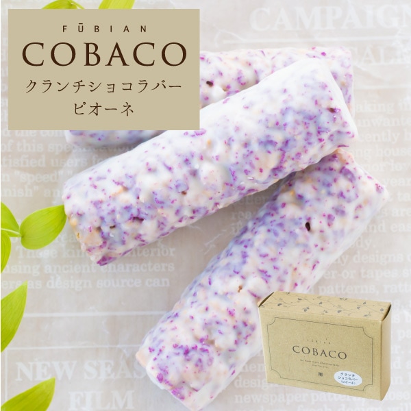 COBACO 祳Сʥԥ͡3  ¨ȯб ץե 0ۡȯ Pgift