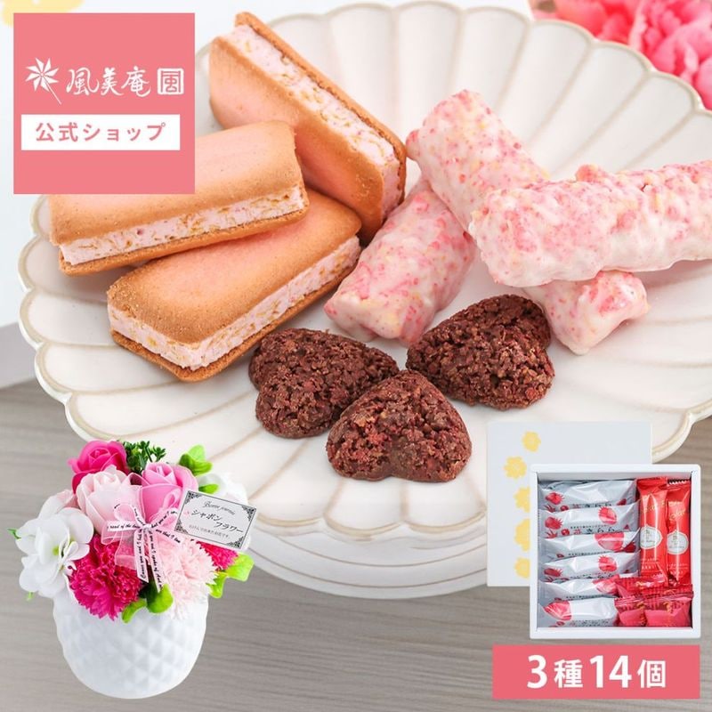 ������ɾ�ˤĤ���˥塼����� �ե��������ĥ��եȡڥե������פ���ۡڥԥ󥯡� | �������� ���ե� �Ƥ��ۻ� �βۻ� �ե������� ��« ���Ӥ��餺�β�« ������������ ��ˤ� ����̵�� �����ȯ�� Agift