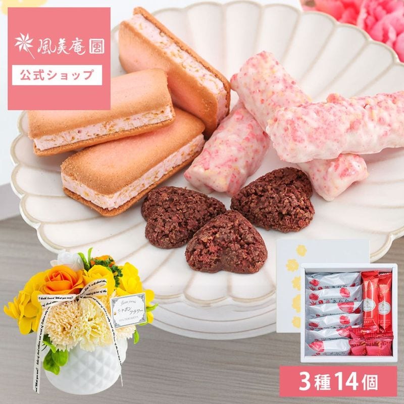 ������ɾ�ˤĤ���˥塼����� �ե��������ĥ��եȡڥե������פ���ۡڥ��������� | �������� ���ե� �Ƥ��ۻ� �βۻ� �ե������� ��« ���Ӥ��餺�β�« ������������ ��ˤ� ����̵�� �����ȯ�� Agift