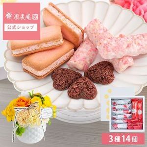 ����� ���ե� �ե��������ĥ��եȡڥե������פ���ۡڥ��������� | �������� ���ե� �Ƥ��ۻ� �βۻ� �ե������� ��« ���Ӥ��餺�β�« ������������ ��ˤ� ����̵�� �����ȯ�� Agift