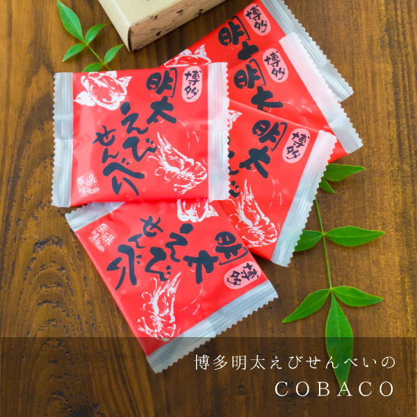 COBACO Ӥ٤5 |  ¨ȯб  ץե   ࿦ ư ž  ´ ۤȯPgift