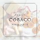 COBACO Ӥ٤5 |  ¨ȯб  ץե   ࿦ ư ž  ´ ۤȯPgift