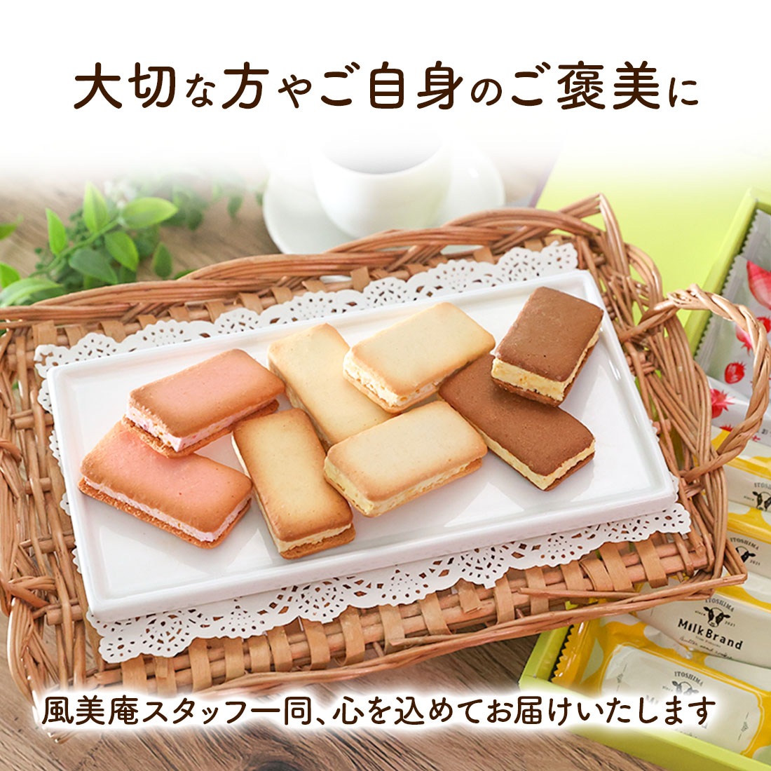 ������ɾ�ˤĤ���˥塼����� �ۥ磻�ȥǡ� ���ե� ����ɥ��å������եȥ��å� | ��� ��� �Ƥ��ۻ� ¨��ȯ�� ����̵�� �����ȯ�� Agift