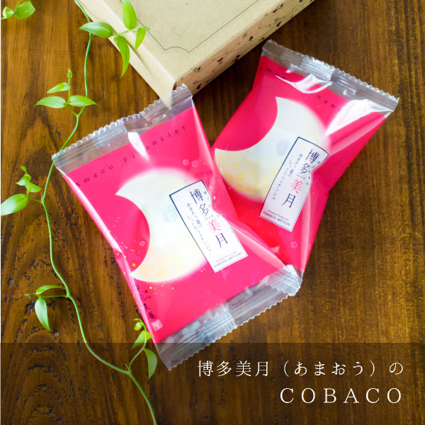 COBACO ¿ʤޤߥ륯2  ¨ȯ ץեȡȯ Pgift