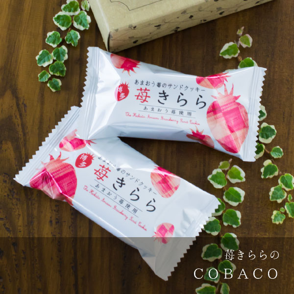 COBACO 2  ¨ȯб  ץե   ࿦ ư ž  ´ ۤȯ Pgift