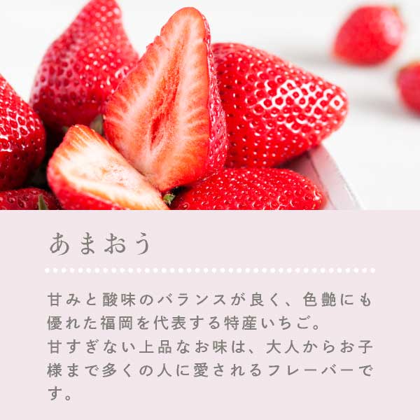 Be Factoryۥ祳С(ޤԥ͡˥塼ޡ)   ե  ץե 0 ȯ Pgift